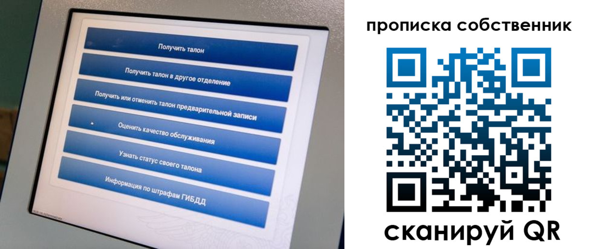 прописка поиск в Тихвине